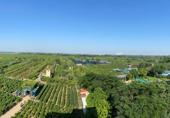 26451 Panorama Green View Studio